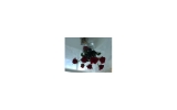 1900 N BAYSHORE DR # 1716 Miami, FL 33132 - Image 8461745