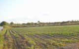0 SW 154 ST & 184 AV Miami, FL 33131 - Image 8481543