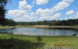 1919 SR 20 Hawthorne, FL 32640 - Image 8489536