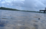 365 Star Lake Rd Hawthorne, FL 32640 - Image 8489532