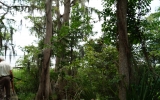 13812-A SE 201st Terr Hawthorne, FL 32640 - Image 8489530
