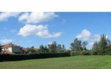 441 RANCH RD Fort Lauderdale, FL 33326 - Image 8529655