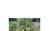 8311 124 AVE # 106 Miami, FL 33175 - Image 8533397