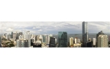 60 SW 13 ST # 4006 Miami, FL 33130 - Image 9412075