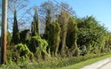 86th Way N Palm Beach Gardens, FL 33418 - Image 9729858