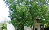 3200 Birdseye Cir Gulf Breeze, FL 32563 - Image 9965274