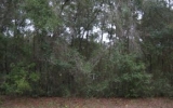 5650 W. Conestoga St. Beverly Hills, FL 34465 - Image 10059324