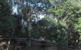 11119 West State Park St Crystal River, FL 34428 - Image 10215237