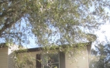 3427 Joe Murell Dr Titusville, FL 32780 - Image 10225917