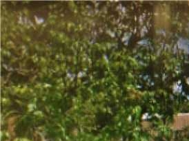 9701 NW 5 AV - Image 10244255