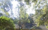 169 Woodridge Trail Sanford, FL 32771 - Image 10315619
