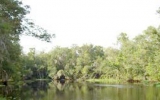 1500 PETERS CREEK RD - LOT #5 Green Cove Springs, FL 32043 - Image 10646896