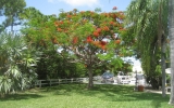 86 Cunningham Ln Big Pine Key, FL 33043 - Image 10647916