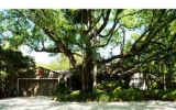 6435 SW 94 ST Miami, FL 33156 - Image 10664341