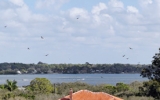 6310 MANASOTA KEY RD Englewood, FL 34223 - Image 10837958