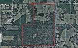 NW HWY 318 Reddick, FL 32686 - Image 10883424