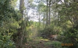 Lot22 Gumleaf R Jacksonville, FL 32226 - Image 10955493