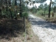 11005 Centralia Rd Brooksville, FL 34614 - Image 10959451