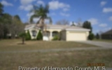 12125 Padron Blvd Spring Hill, FL 34609 - Image 10975124