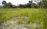 1678 Sarno Rd Melbourne, FL 32935 - Image 10979206