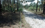 11005 Centralia Rd Brooksville, FL 34614 - Image 11009520