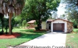 225 Dan River Dr Spring Hill, FL 34606 - Image 11076350