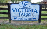 23011 NW 78th Avenue Alachua, FL 32615 - Image 11270230
