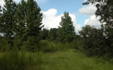 Highway 542 E. Lakeland, FL 33801 - Image 11338983