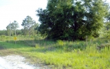 93rd Place O Brien, FL 32071 - Image 11374012