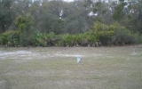 247 Vale Dr Saint Augustine, FL 32086 - Image 11537749