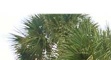3437 Lakeside Dr # 3437 - Image 11834893