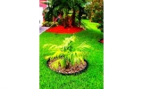 3650 NW 4TH ST Fort Lauderdale, FL 33311 - Image 11867133