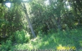 0 Stevens Hudson, FL 34667 - Image 11872628