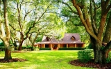 3403 Rock Springs Road Apopka, FL 32712 - Image 12032279