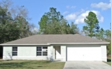 45 Fisher Pass Ocklawaha, FL 32179 - Image 12172370