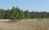 Winding River Preserve #50 (Apn# 21 Bronson, FL 32621 - Image 12192608
