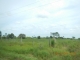 3020 Munchkin St Venus, FL 33960 - Image 12352378