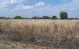 20272 278th St Okeechobee, FL 34972 - Image 12425533