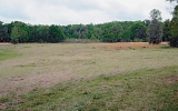 6750 NW HWY 320 Mc Intosh, FL 32664 - Image 12429625