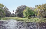 132 DRAYTON ISLAND RD Georgetown, FL 32139 - Image 12441647