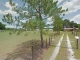 26Th Bushnell, FL 33513 - Image 12917208