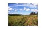 25251 SW 167 AVE Homestead, FL 33031 - Image 14920671