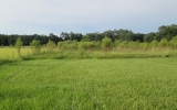 3015 NW 223rd St Lawtey, FL 32058 - Image 15222340