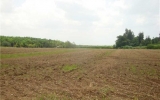 17529 SW 244 ST 1.5 ACRES Homestead, FL 33031 - Image 15759425