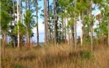 # 5 Whisper Lane Santa Rosa Beach, FL 32459 - Image 17371814