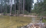 +/- 375wff Chat Holly (Bay Front) Road Santa Rosa Beach, FL 32459 - Image 17371818