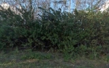 37Th St Sw Lehigh Acres, FL 33971 - Image 17388549