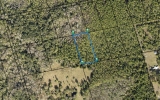 Lot 4 Off of Hog Valley Rd Mims, FL 32754 - Image 17390992