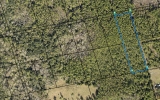 Lot 3 Off of Hog Valley Rd Mims, FL 32754 - Image 17391004