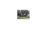 15850 NW 11th St Hollywood, FL 33028 - Image 17393030